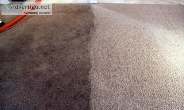 Carpet and Upholstery Cleaning