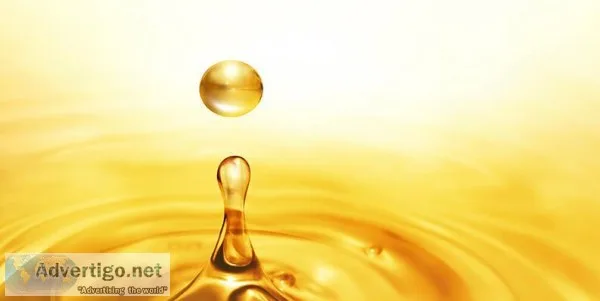 Find the Best Cooking Oil Recycling Company