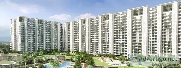 Ready to Move Flats In Noida