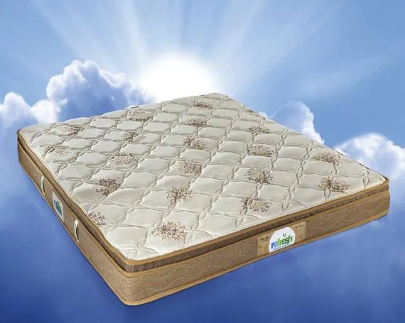 Order Online Affordable Spring Mattresses