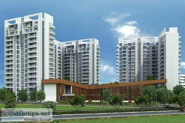 Ambience Creacions Floor Plan For 23 and 4 BHK In Gurgaon