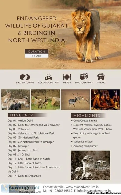 sasan gir tour packages