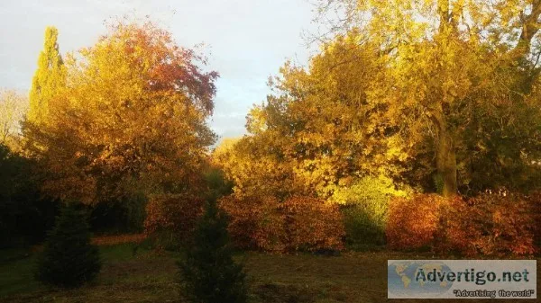 Autumnal Garden Tour at Otley Hall