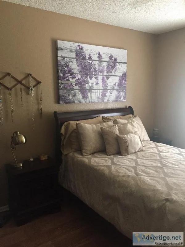 Female Roommate Wanted