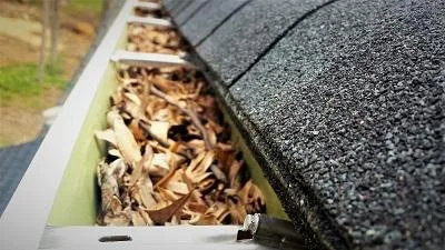 Get the best Gutter Cleaning Service in Belle Air Beach