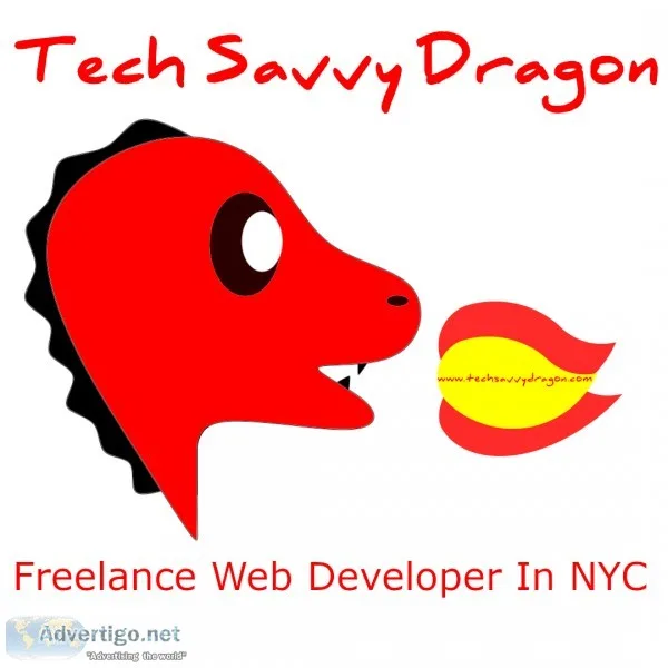 Websites Made For Your Company  Tech Savvy Dragon