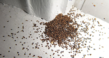 Territory Topers Biochem pest control Trichy