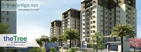 Book Apartment in the Tree by Provident Review