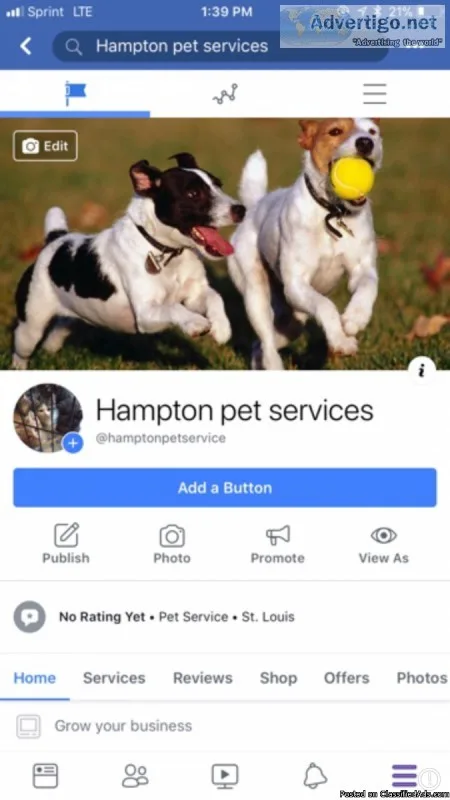 Dog training grooming etc