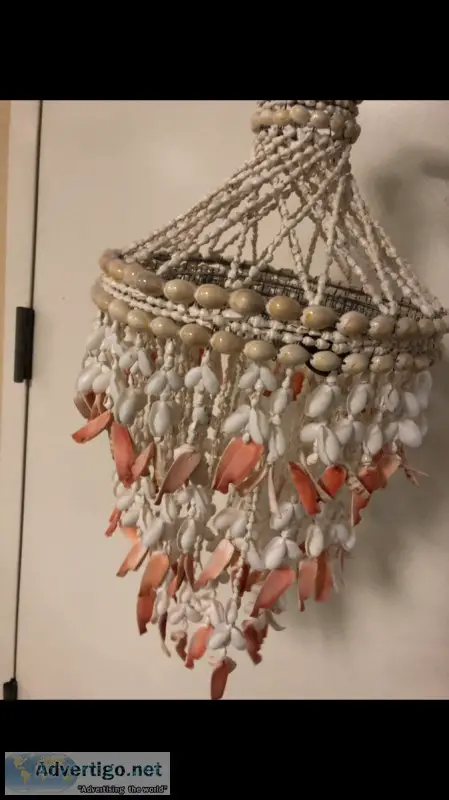 Shells Hanging Display
