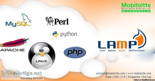 LAMP Website Development Company  Mobiloitte