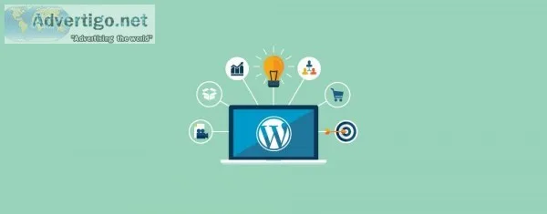 Custom Web Development Services  WordPress Web Design