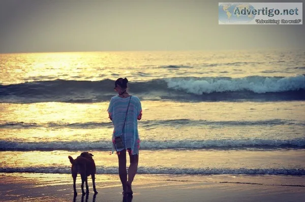 Tour Packages in India - Best Tour Packages