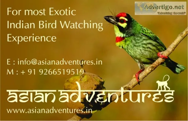 Naturetrek all india birding tours