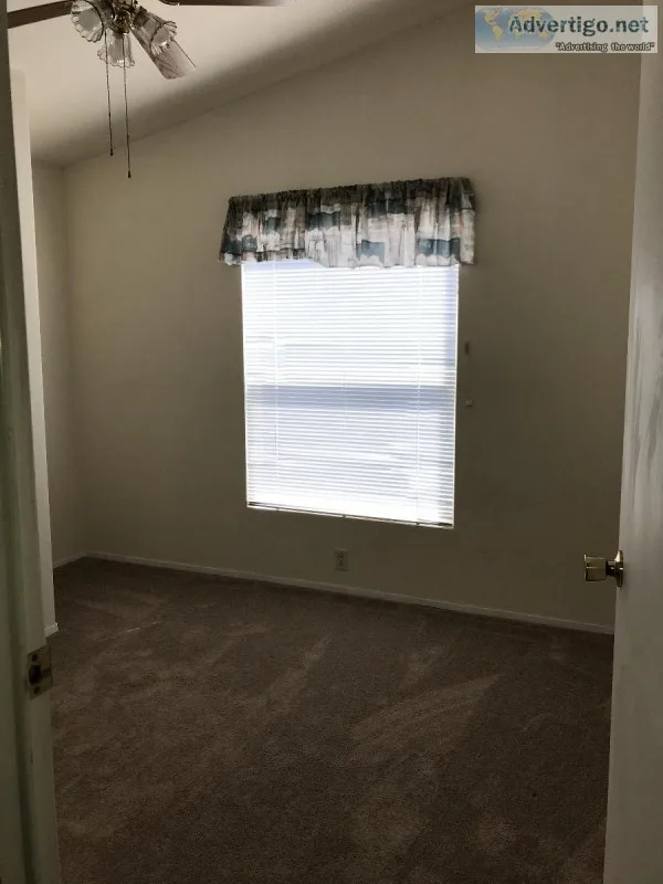 Room For Rent