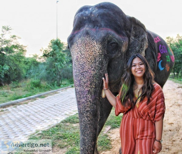Elephant village Jaipur