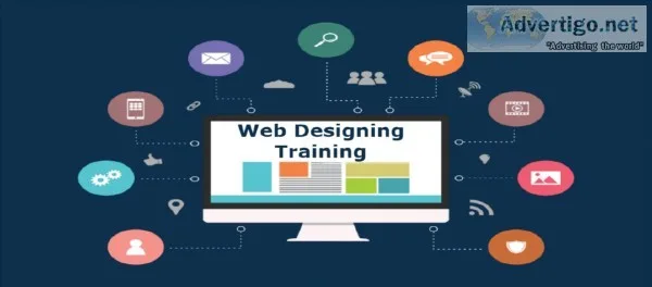 Web Designing Training in Noida &ndash APEX TGI
