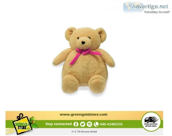 FLAT 50% OFF ON Teddy Plump