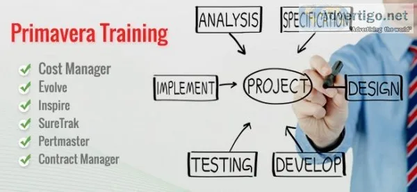 Primavera Training in Noida &ndash APEX TGI