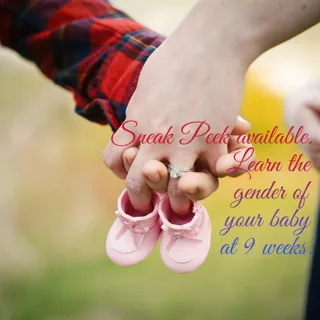 Learn the Gender of Your Baby at 9 Weeks