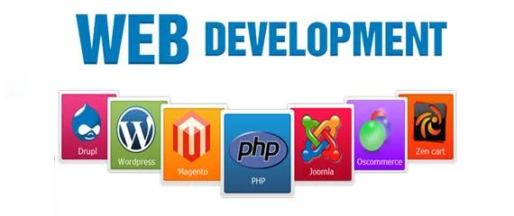 Best Website Designing And Development Company In Delhi