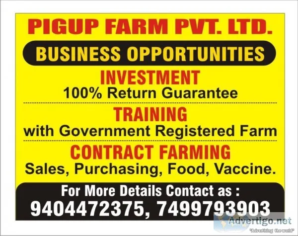 pigup farmming and services