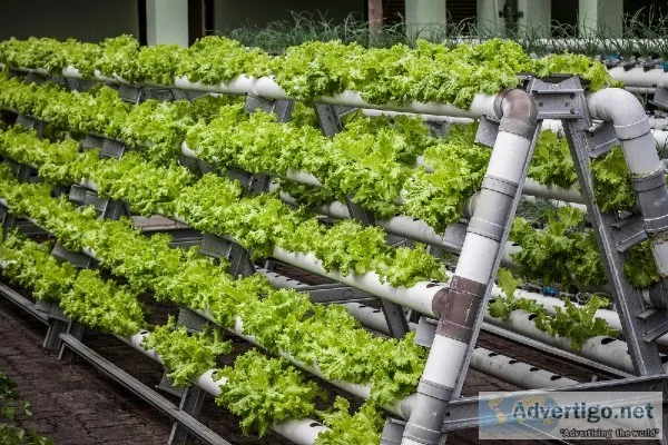 Agriculture Courses