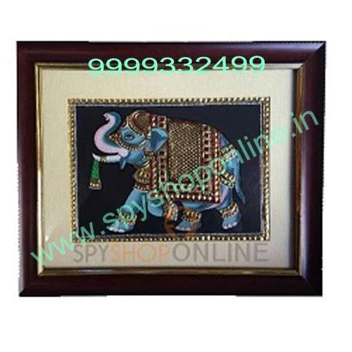 Sting Operation Camera Cash On Delivery 9999332499