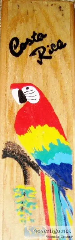 Vintage Costa Rica Souvenir Hand Painted Parrot Pen Wood Box Rai