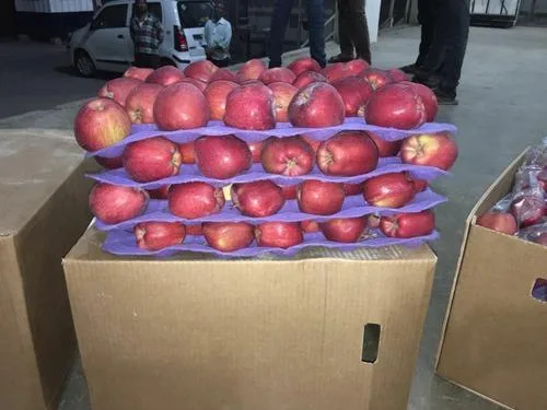 Apple Wholesale Supplier India    - (91-9811058860) &ndash HARSH