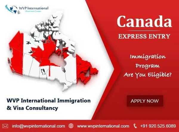 Best Immigration Consultants in Delhi  Visa Consultants in Delhi