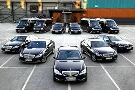 Rental Cars