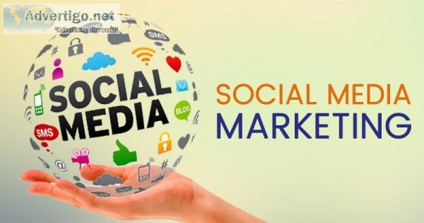 Social Media Marketing Services In India  Mackerel Solutions