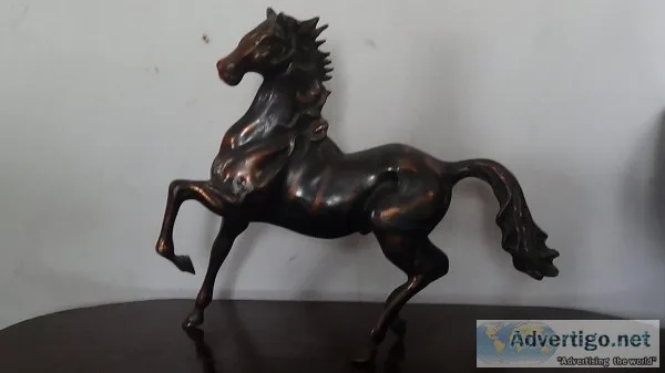 An Old Horse For Sale