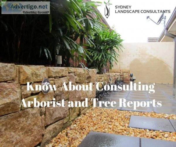 Are You Looking For Arborist Tree Analysis Reports Eastern Subur