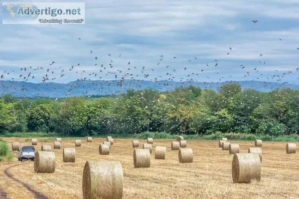 Top Dove and Bird Hunting Lodges in Uruguay Argentina