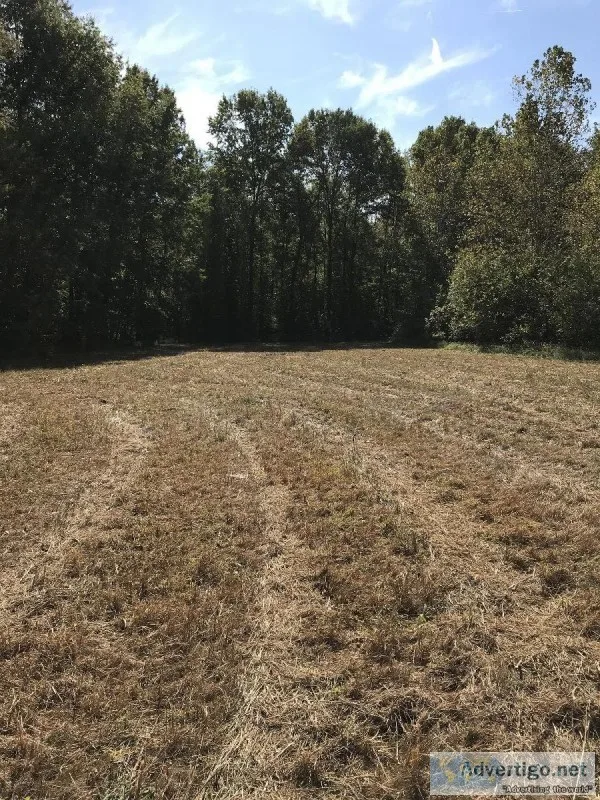 131 acres on Mud River