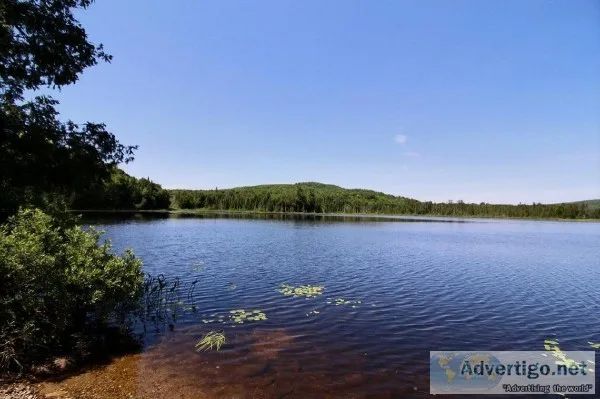 Alone around the lake Peaceful haven in the Laurentians