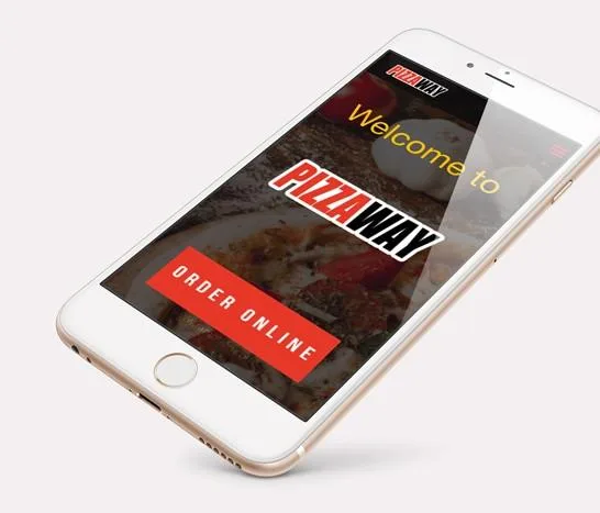 Custom Web Development Services  Onixxmedia.com