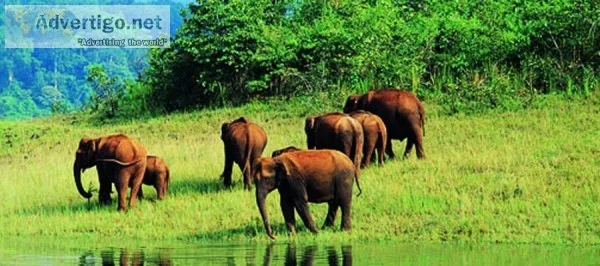 Kerala Holidays - Book Kerala Tour and Holiday Packages