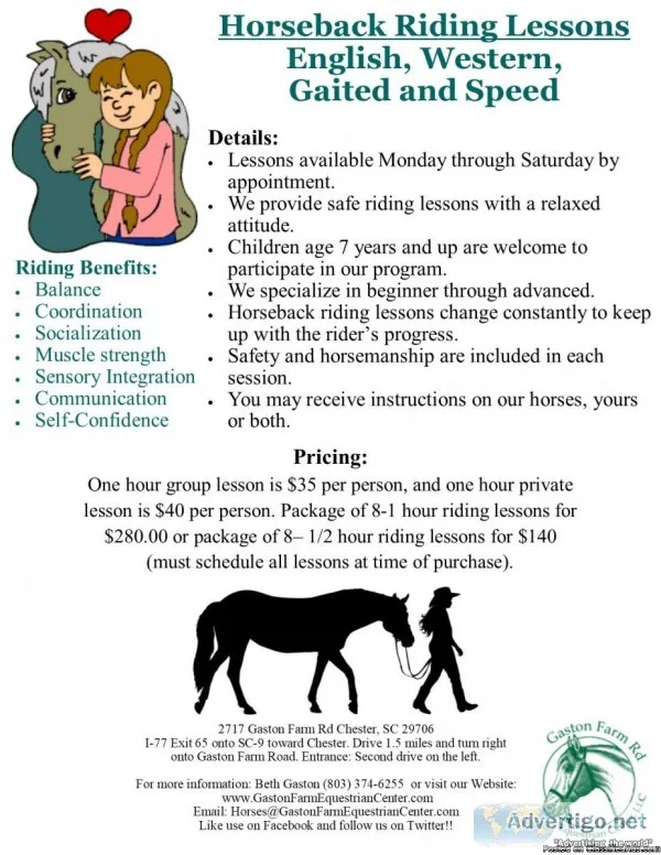 Horseback Riding Lessons