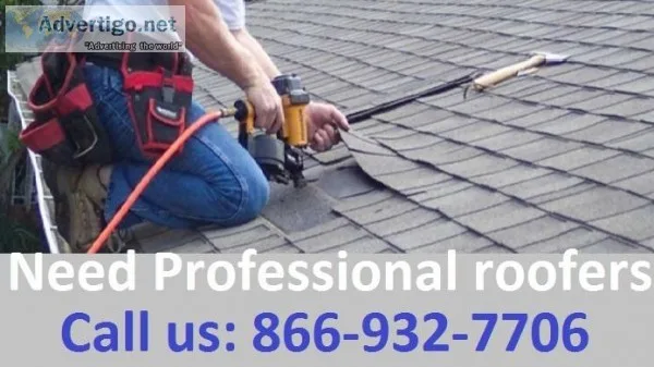 Professional Roofers