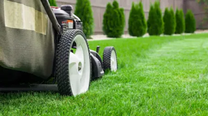 Get the best service of Tree Maintenance in Vyner