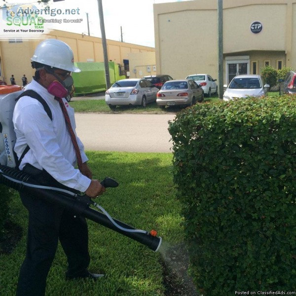 Hire reliable mosquito pest control service in Bangalore