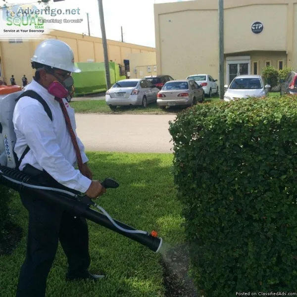 Hire reliable mosquito pest control service in Bangalore
