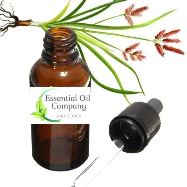 Buy Cypress Essential Oil Wholesale  Essentialoilcompany. in