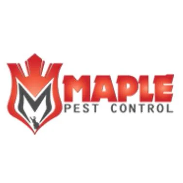 Pest Control In Toronto