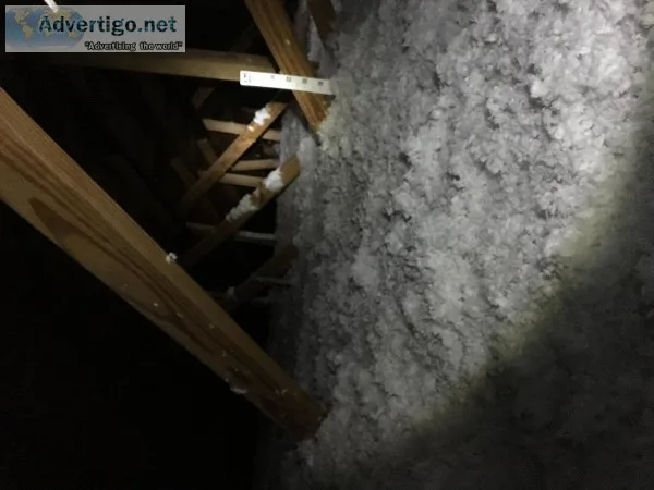 Insulation spray foam