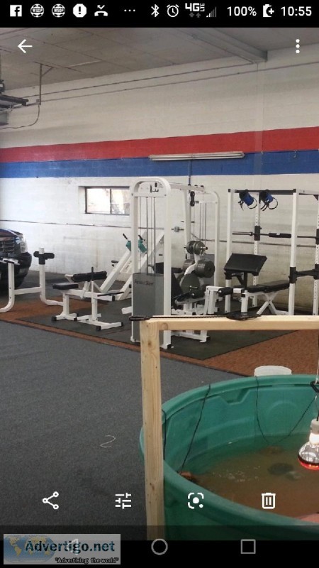 Complete gym system