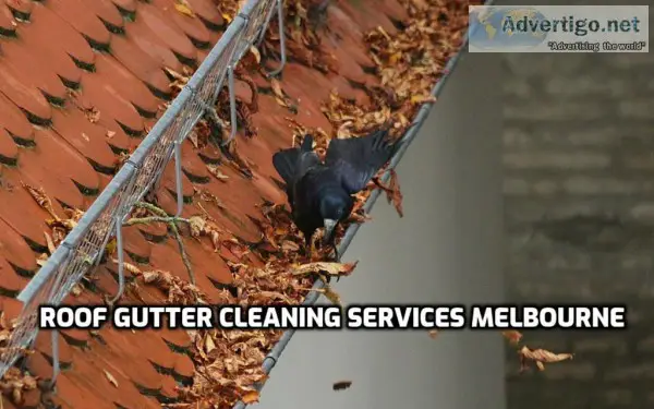 Call us for the cheapest gutter cleaning in Melbourne